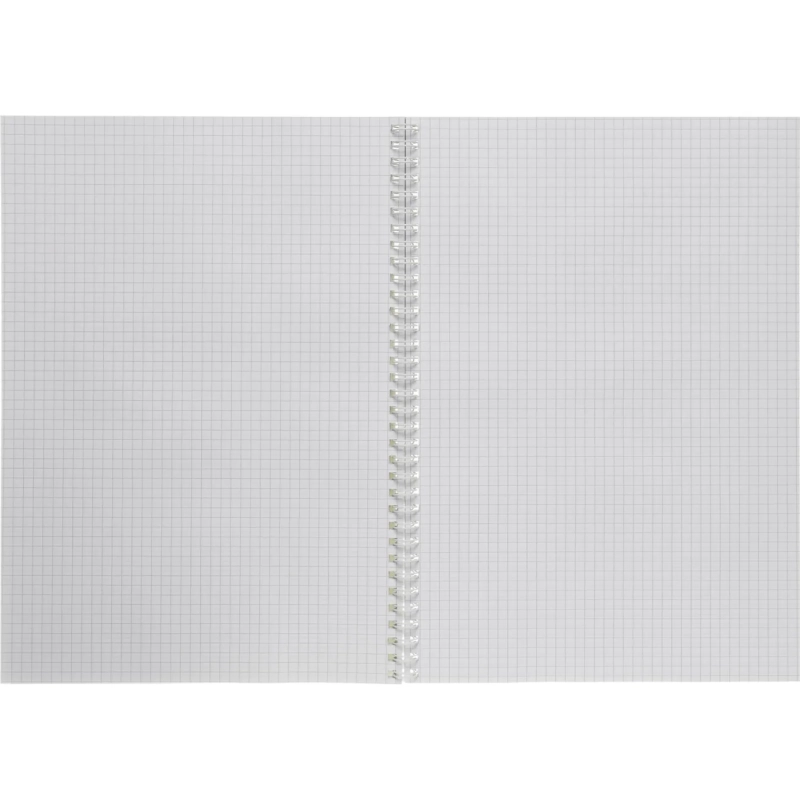 Бизнес-тетрадь Attache Акварель гребень картон А4 96 л,голубой