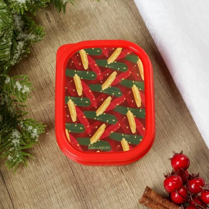 Ланч-бокс «Зима волшебное время», 500 мл