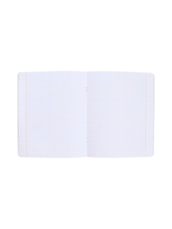 Тетрадь 48л кл "Alpaca fan", обл мел карт, лам Soft-touch, бл офсет 60-65г/м&sup2;, 5В МИКС