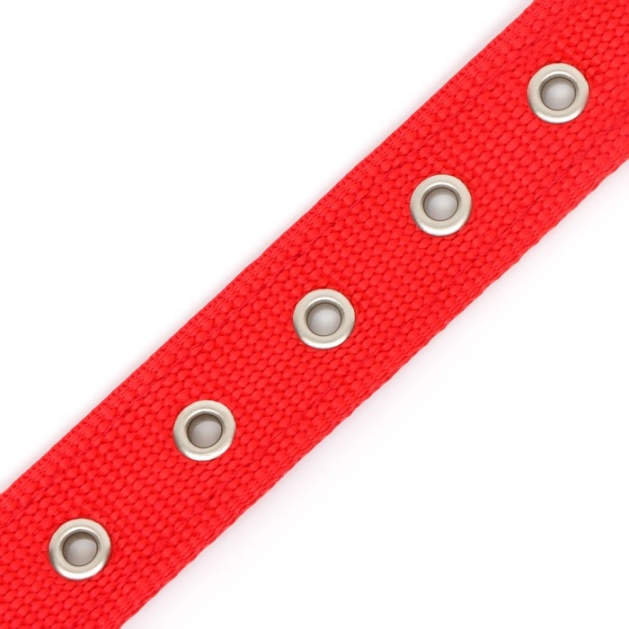 Ошейник Ошейник "Комфорт" комбинированный (полиэстер, искусственная кожа), 58 х 3 см, ОШ 45-52 см, красный 6