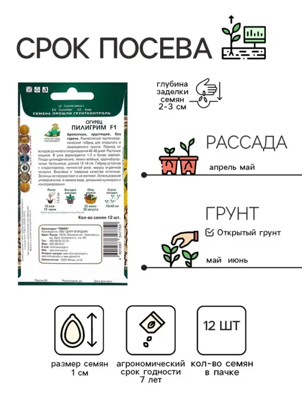 Семена Огурец Пилигрим, F1, 12шт