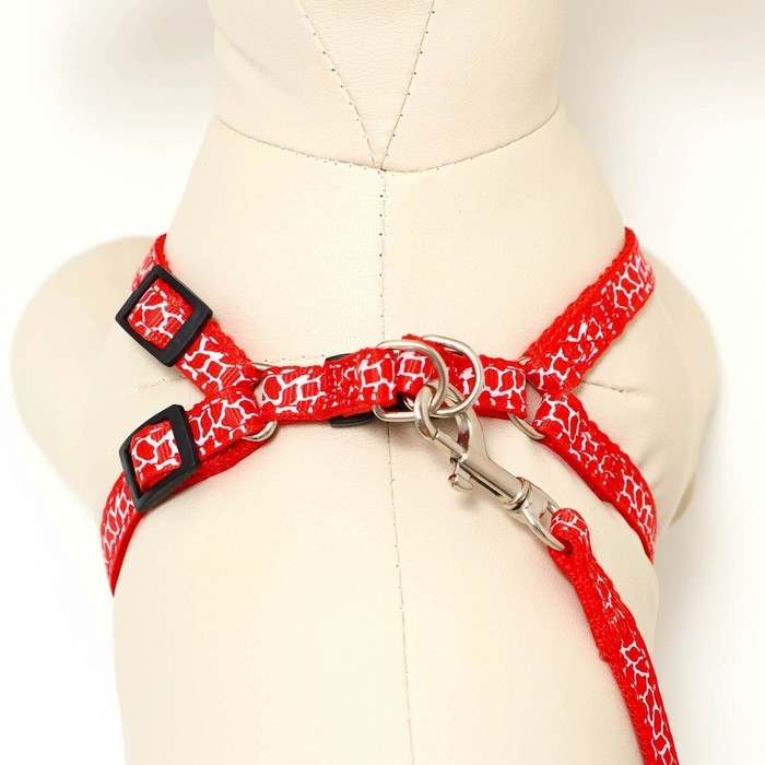 Комплект прошитый Комплект прошитый "Жираф", ширина 1 см, поводок 120 см, шлейка 23-35 см, красный