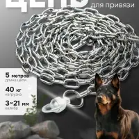 Цепь для привязи собак, 5 м, калибр 3&times;21 мм, белая