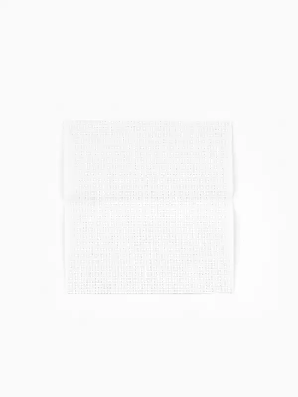 Вышивка крестиком 16х18 см "Капибара с уточкой"