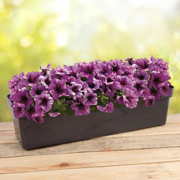 Ящик балконный для цветов «Эко», 60 см, 12 л, цвет микс Ящик балконный для цветов «Эко», 60 см, 12 л, цвет микс