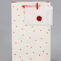 Пакет ламинированный &laquo;Важный момент&raquo;, 22.3&times;9&times;35 см