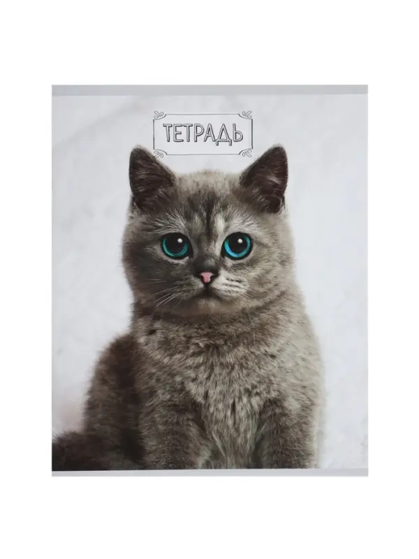 Тетради 48 листов в клетку, Calligrata &laquo;Милые котята&raquo;, серые листы, 5 штук