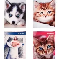 Набор блокнотов А6 40л кл на скобе Котята и щенята, мел карт, 4В 20шт