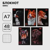 Блокнот А7, 48 листов в клетку, &laquo;Лучший друг&raquo;, 60 г/м&sup2;, на клею, 5 в МИКС