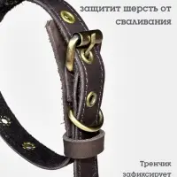 Ошейник безразмерный, 40&times;2 см, с подпряжником, кожа, коричневый