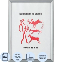 Рамка пластиковая 591 21x30 (A4) серебро