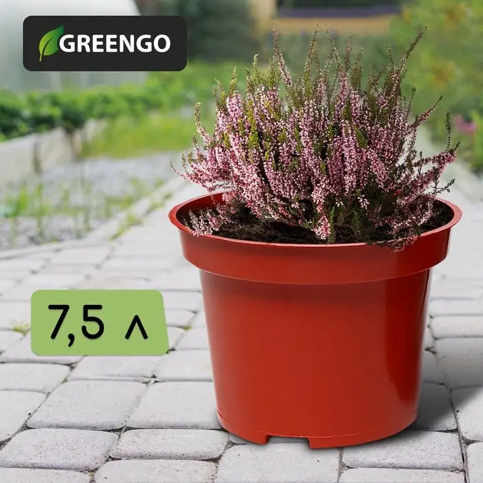 Горшок для рассады, 7,5 л, d = 25,5 см, h = 20,5 см, терракот, Greengo Горшок для рассады, 7,5 л, d = 25,5 см, h = 20,5 см, терракот, Greengo