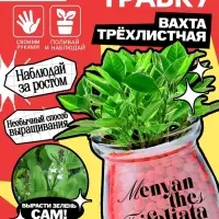 Набор для опытов &laquo;Выращиваем травку&raquo; своими руками, красный