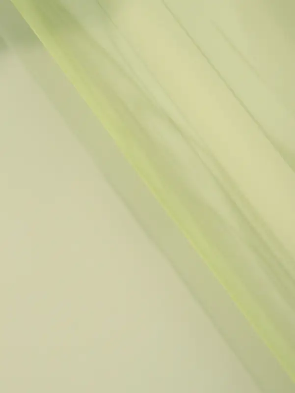 Плёнка для цветов &laquo;Для тебя&raquo;, зелёный, 57&times;57&plusmn;2 см