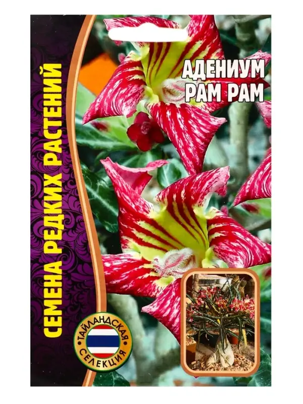 Семена цветов Адениум Pam Pam 3 шт.  12.29 г.