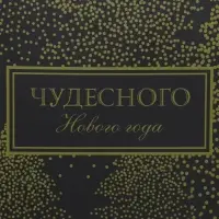Пакет подарочный новогодний ламинированный &laquo;Чудесного Нового года&raquo;, L 31 х 40 х 11.5 см