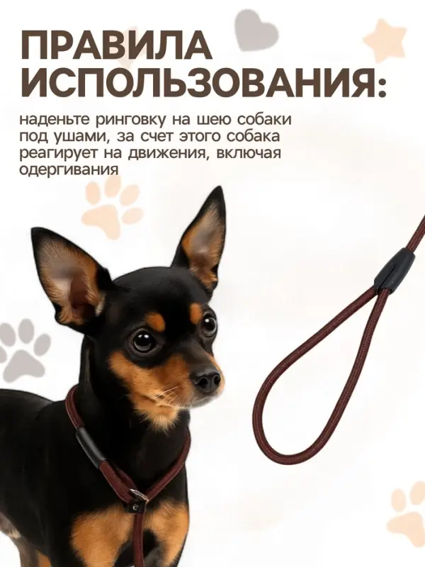 Ринговка для собак, 130&times;0.6 см, коричневая