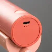 Лампа настольная RISALUX &laquo;Лансер&raquo;, светодиодная, 3.5 Вт, USB, АКБ, красно-розовая, 11&times;15&times;45 см