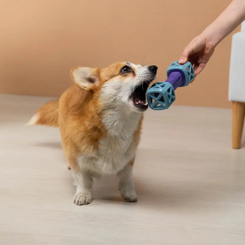 VETTA Игрушка для домашних животных, ТПР, 18х6 см