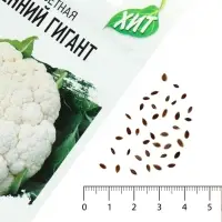 Семена Капуста цветная &laquo;Осенний гигант&raquo;, 0.1 г, &laquo;Удачные семена&raquo;