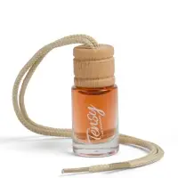 Ароматизатор в машину Tensy, кофе, бутылочка, 6 мл, ТВ-05