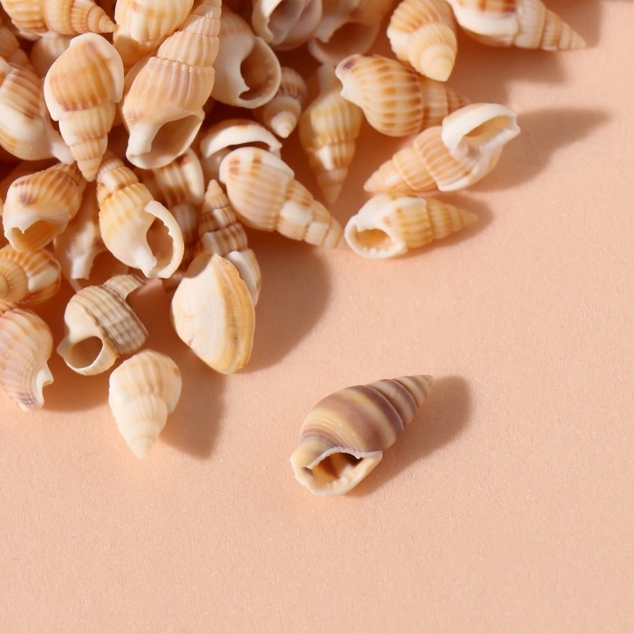 Ракушки природные декоративные "Риссоа бежевая" набор 100 гр