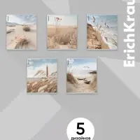 Тетрадь 48 листов в клетку, ErichKrause Pasifico, 60 г/м&sup2;, МИКС