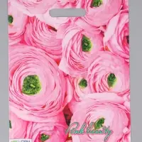 Пакет "Розовый букет, полиэтиленовый с вырубной ручкой 30х40 см, 60 мкм