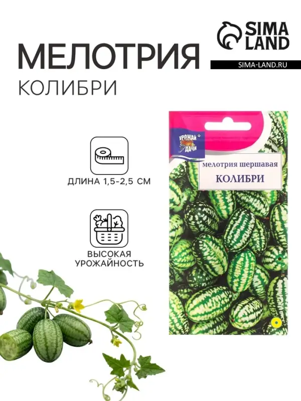 Семена Мелотрия шершавая &laquo;Колибри&raquo;, 0.015 г, &laquo;Урожай удачи&raquo;