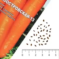 Семена на ленте Морковь &laquo;Лосиноостровская 13&raquo;, 8 м, &laquo;Росток-гель&raquo;
