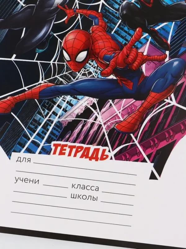Тетрадь 12 листов в клетку &laquo;Паутина&raquo;