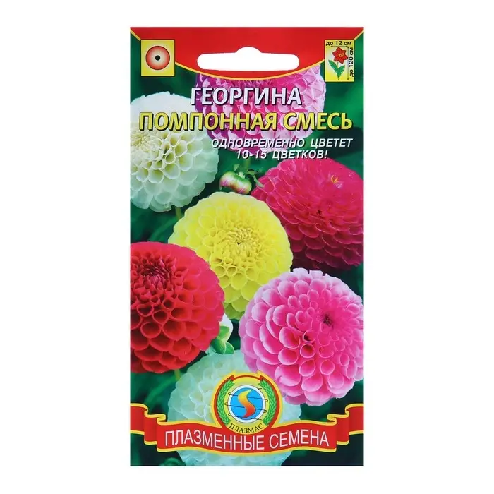 Семена Георгина махровая  Семена Георгина махровая "Помпонная", смесь, 12 шт