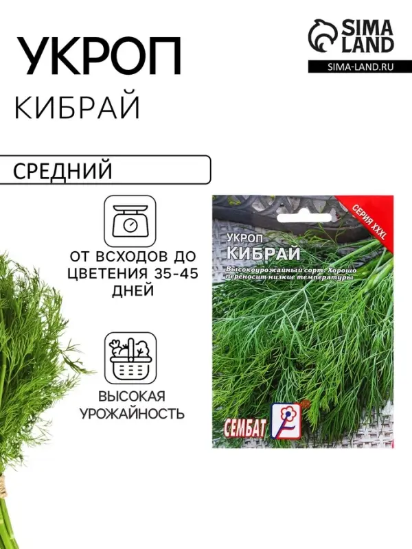 Семена Укроп &laquo;Кибрай&raquo;, XXXL, &laquo;Сембат&raquo;, 20 г