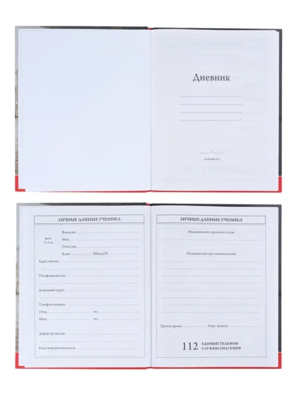 Дневник школьный для 1-4 классов, &laquo;Красная тачка&raquo;, твёрдая обложка 7БЦ, матовая ламинация, выборочный лак, 48 листов