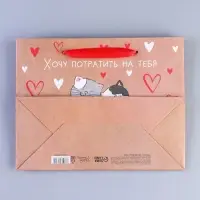 Пакет подарочный крафтовый, упаковка, &laquo;Потрачу девять жизней&raquo;, MS 18&times;23&times;8 см