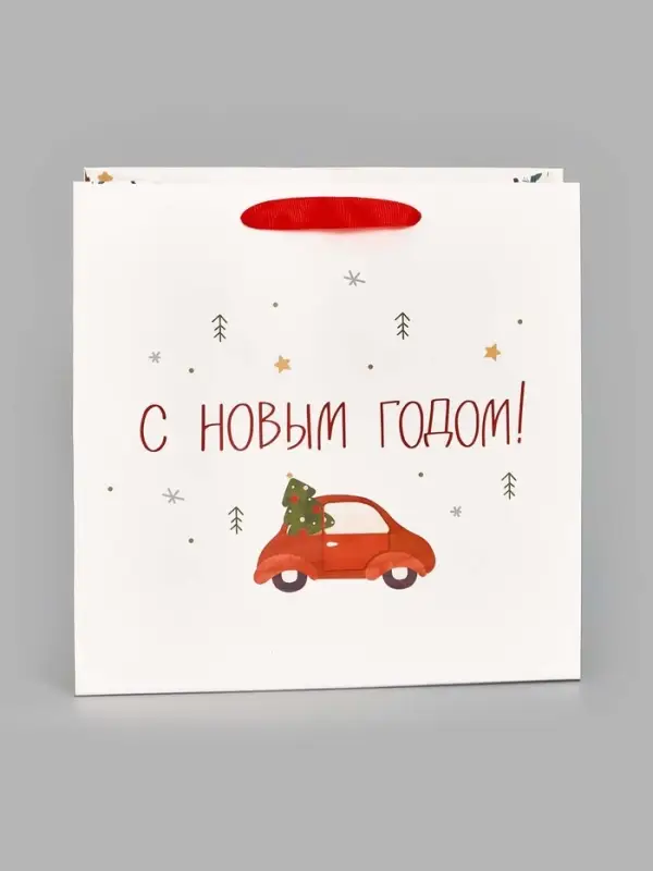 Пакет подарочный ламинированный новогодний &laquo;Волшебного года&raquo;, 22&times;22&times;11 см