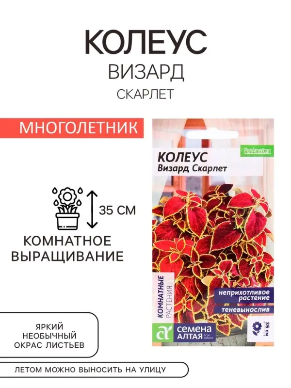 Семена комнатных цветов Колеус &laquo;Визард Скарлет&raquo;, 5 шт., &laquo;Семена Алтая&raquo;