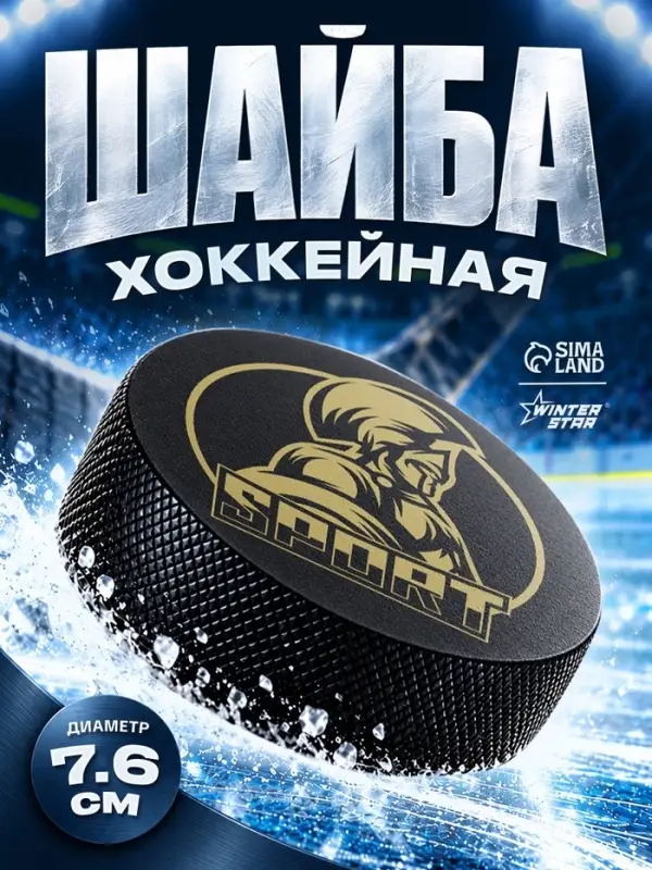 Шайба хоккейная Winter Star, взрослая, d=7.6 см