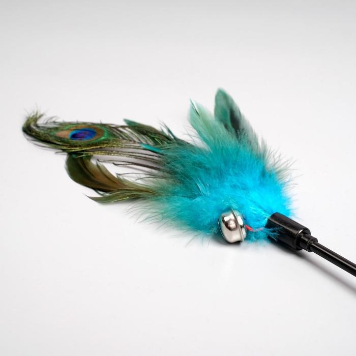 Дразнилка  Дразнилка "Перо павлина" с бубенчиком, ручка 49 см, микс