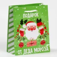 Пакет ламинированный вертикальный &laquo;Подарок&raquo;, S 12 &times; 15 &times; 5,5 см