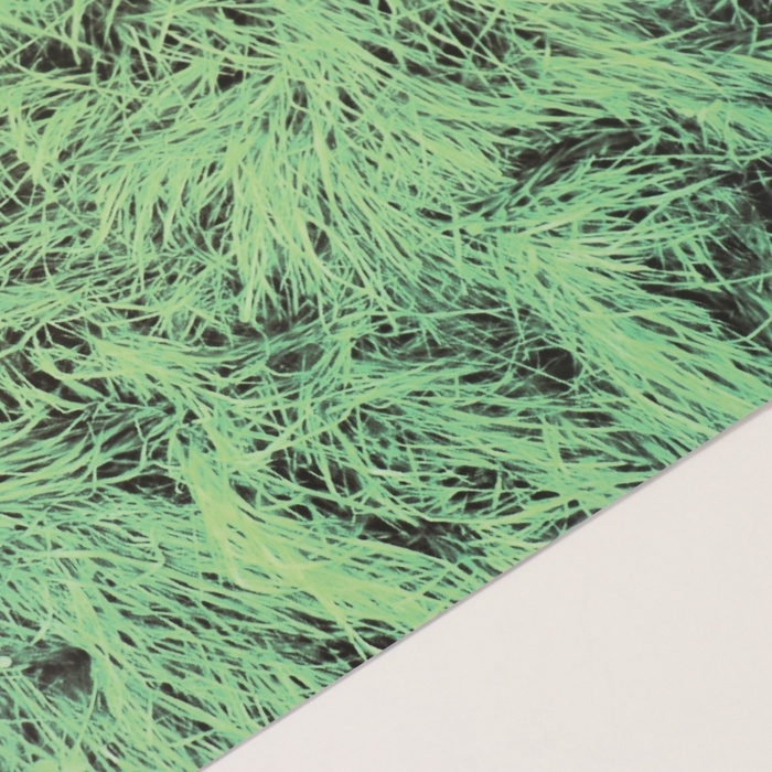 Фотофон двусторонний картон плотность 350 гр Фотофон двусторонний картон плотность 350 гр "Сено и трава" 50х50 см