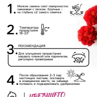 Семена цветов Бархатцы отклонённые (Тагетес) "Мерседес", 0,3 г Семена цветов Бархатцы отклонённые (Тагетес) "Мерседес", 0,3 г