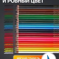 Карандаши Calligrata, цветные, 24 цвета, супермягкие, диаметр грифеля 3 мм, 5B