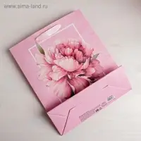 Пакет подарочный ламинированный, упаковка, &laquo;Пион&raquo;, S 12 х 15 х 5.5 см