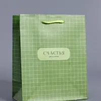 Пакет подарочный ламинированный &laquo;Здесь и сейчас&raquo;, оливковый, 18&times;22.3&times;10 см