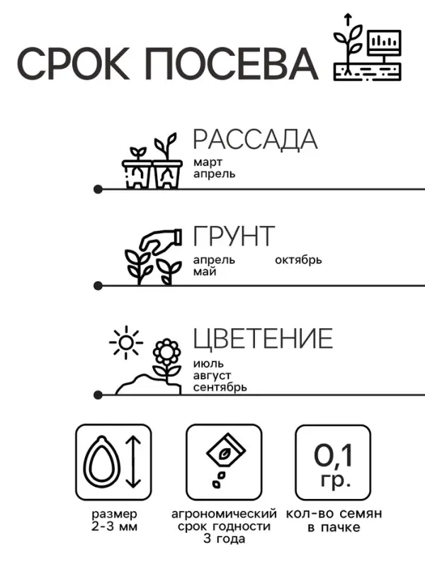 Семена цветов Нивяник "Аляска", ц/п,  0,1 г