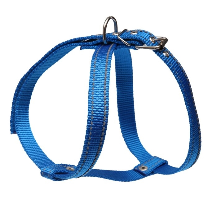 Шлейка капроновая, восьмерка, светоотражающая, 2 см,ОШ 36-56 см,ОГ 54-62 см, тёмно-синяя Шлейка капроновая, восьмерка, светоотражающая, 2 см,ОШ 36-56 см,ОГ 54-62 см, тёмно-синяя