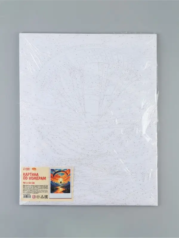 Картина по номерам &laquo;Полёт&raquo;, 40&times;50 см