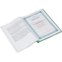 Папка файловая на 20 файлов А4, 160мкм, зеленая