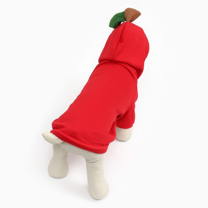 Толстовка "Яблочко", размер ХS (ДС 20, ОГ 32см)